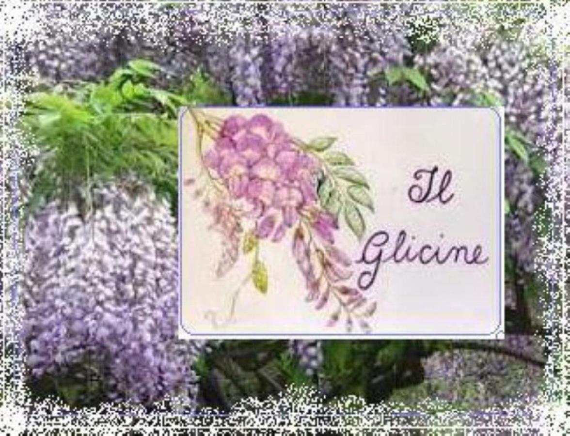 Il Glicine Di Lucca Apartment Exterior photo